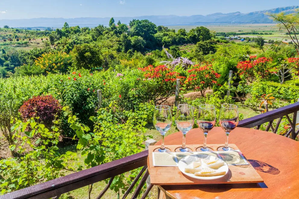 Red Mountain Estate VineYard